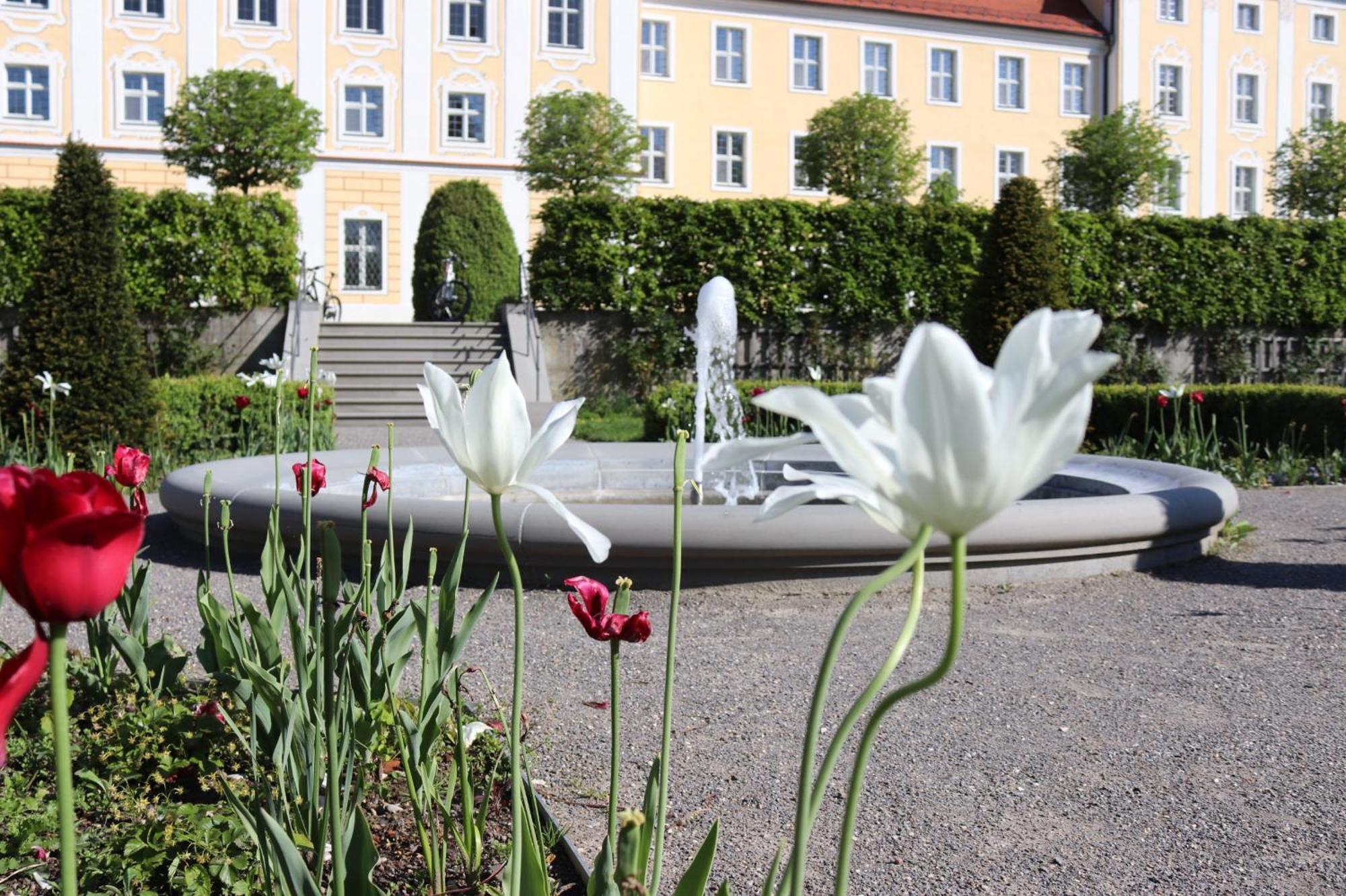 Klostergasthof Roggenburg Экстерьер фото