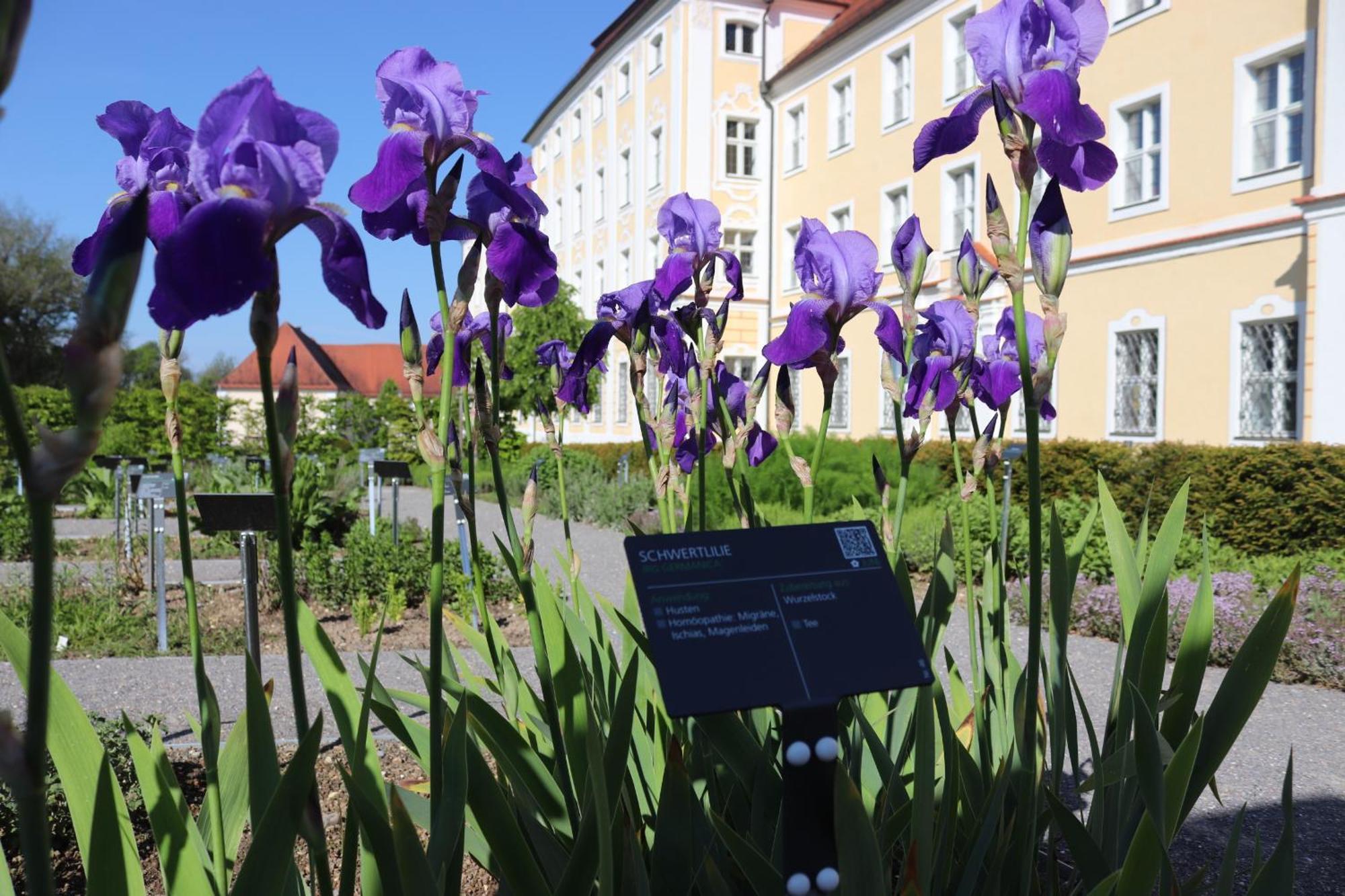 Klostergasthof Roggenburg Экстерьер фото